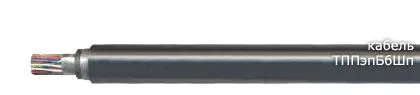 Кабель ТППэпБбШп 600х2х0,5