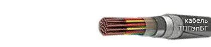 Кабель ТППэпБГ 200х2х0,5
