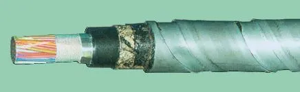 Кабель ТПппПБГ 300х2х0,7