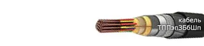 Кабель ТППэпЗБбШп 30х2х0,5