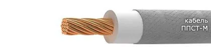 Кабель ППСТ-М 1х6
